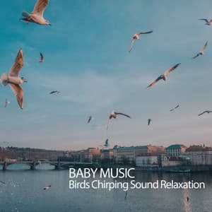 Baby Music: Birds Chirping Sound Relaxation - Christian Music Experience