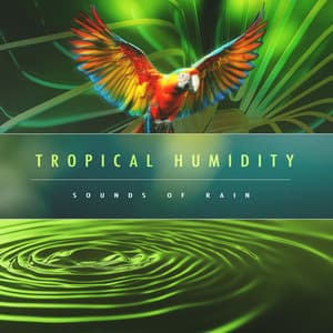 Tropical Humidity - Sounds of Rain
