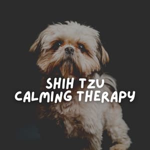 Shih Tzu Calming Therapy - Sleeping Music For Dogs