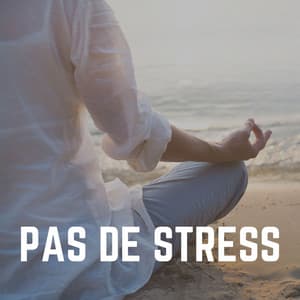 Pas de Stress - Ambiente