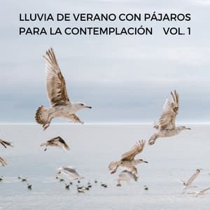 Lluvia De Verano Con Pájaros Para La Contemplación Vol. 1 - Lluvia Instantánea