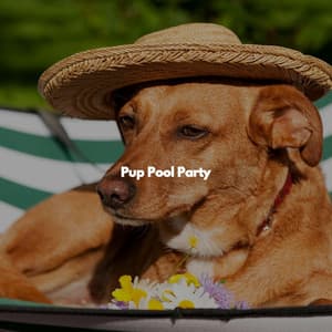Pup Pool Party - Dinner Music Chill