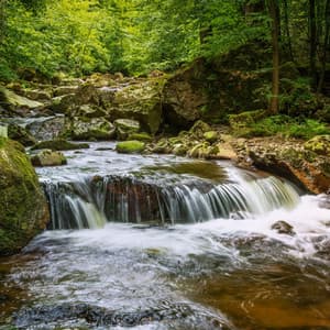 Relaxing Prose: River's Gentle Symphony - Relaxing Music Channel