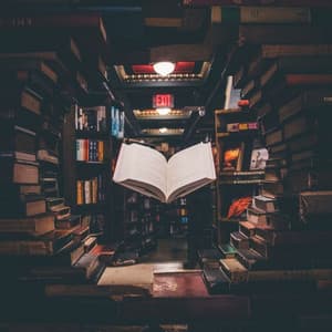 Lofi Mindful Study: A Path to Academic Success - Lofi Study