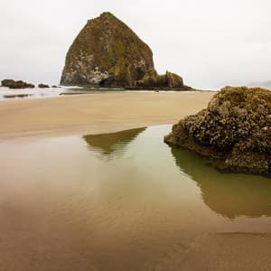 Understand Me / Relaxation Meditation Music, Yoga at Home, Chakra Cleansing - Nature Sounds