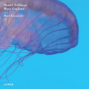 More Essentials - Daniel Schläppi