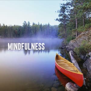 Mindfulness - Relaxing Therapy Sounds