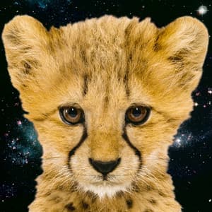 Simon and The Astronauts Featuring Rachel Haden - Simon and the Astronauts