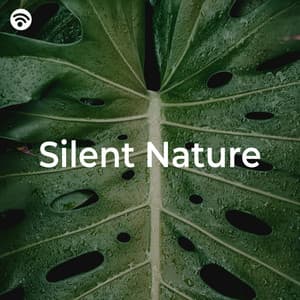 Silent Nature - Nature Sounds Nature Music