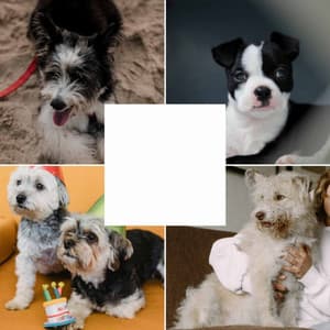 Urbane Trumpet Smooth Jazz - Ambiance for Doggies Resting - Sleeptime for Dogs