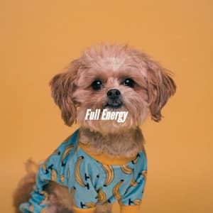 Full Energy - Ochtendmuziek