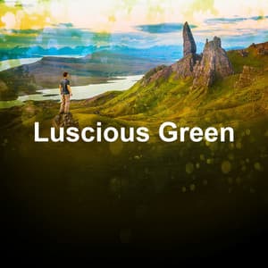 Luscious Green - Cricket Sounds