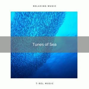 ! ! ! ! ! ! ! ! ! ! Tunes of Sea - Ocean Waves For Sleep