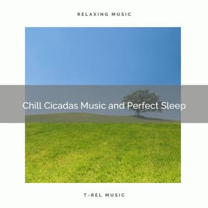 2020 Best: Chill Cicadas Music and Perfect Sleep - Sleepy Times