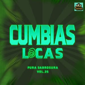 Pura Sabrosura Vol. 35 - Cumbias Locas