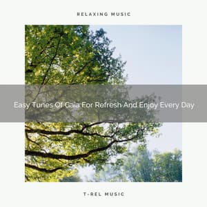 Easy Tunes Of Gaia For Refresh And Enjoy Every Day - Ambient Nature project