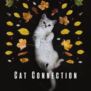 Cat Connection: Piano Tunes for Tranquil Cat Bliss - Piano for cats