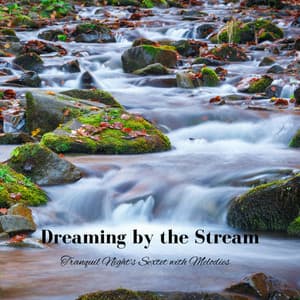 Dreaming by the Stream: Tranquil Night's Sextet with Melodies - TELEKROME