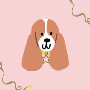 Jazz Violin - Ambiance for Calming Your Cancine - Chill My Pooch