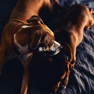 楽しい朝 - Vintage Jazz