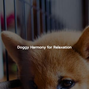 Doggy Harmony for Relaxation - Jazz Collections for Reading