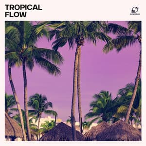 Tropical Flow - Gaming Music