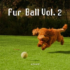 4Paws: Fur Ball Vol. 2 - Sleeping Music For Dogs