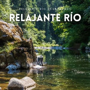 Relajante Río Desbordado - Música de la naturaleza Canciones de la naturaleza