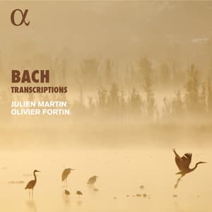 Bach Transcriptions - Johann Sebastian Bach