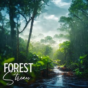 Forest Stream: Healing Nature Sounds, Rainforest, Birds for Relax Mind, Sleep - Singing Birds Zone