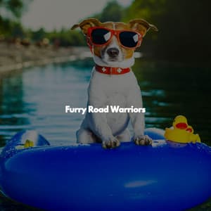Furry Road Warriors - Jazz Ambiance