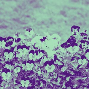 Carefree Guitar Trio - Background for Focusing Tales - Música Chill para Cafés