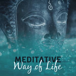 Meditative Way of Life - Liquid Life Oasis