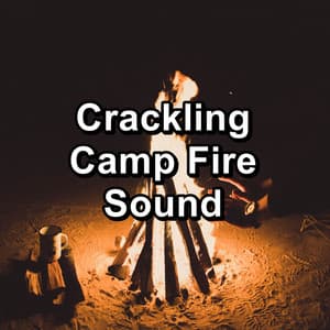 Crackling Camp Fire Sound - Baby Sleep Music
