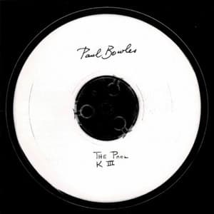 The Pool K III - Paul Bowles