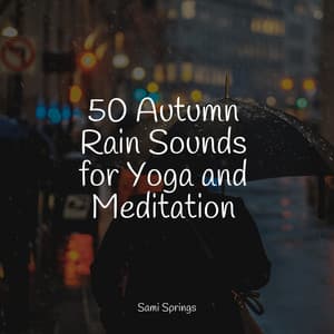 50 Autumn Rain Sounds for Yoga and Meditation - Thunder Storms & Rain Sounds