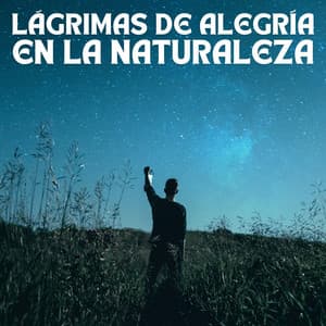 Lágrimas De Alegría En La Naturaleza - Sonidos de Timmy para dormir