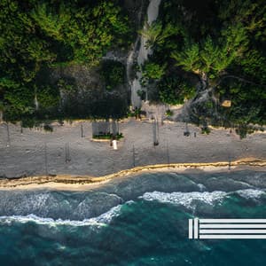 Ocean Waves Sounds - Sea Sounds