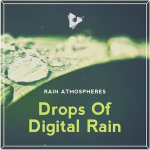 Drops Of Digital Rain - Rain Atmospheres