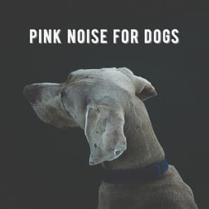 Pink Noise for Dogs - Pet Therapy