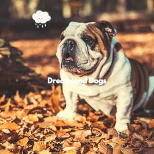 Dreamland Dogs - Puppy Sleeping Sounds