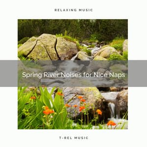 ! ! ! ! ! Spring River Noises for Nice Naps - Sea of Calmness