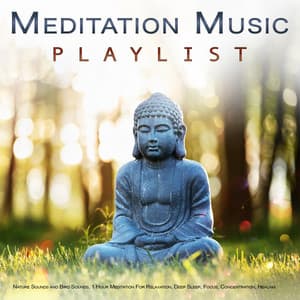 Meditation Music Playlist: Nature Sounds and Bird Sounds, 1 Hour Meditation For Relaxation, Deep Sleep, Focus, Concentration, Healing, Wellness, Mindfulness and Sleeping Music - 1 Hour Meditation