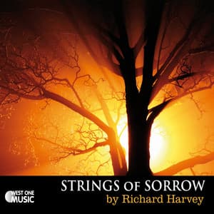 Strings Of Sorrow - Richard Harvey