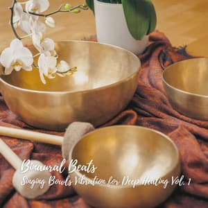 Binaural Beats: Singing Bowls Vibration for Deep Healing Vol. 1 - Spirit Minds