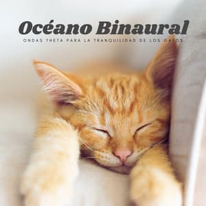Océano Binaural: Ondas Theta Para La Tranquilidad De Los Gatos - Moldeadores binaurales