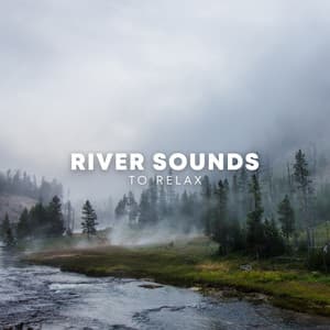 River Sounds To Relax - Sounds for Life