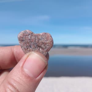 Blue and Red - Cozy Coffee Shop