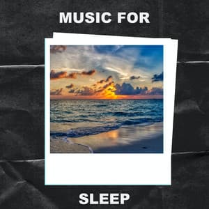Music for Sleep - Music for Sleep