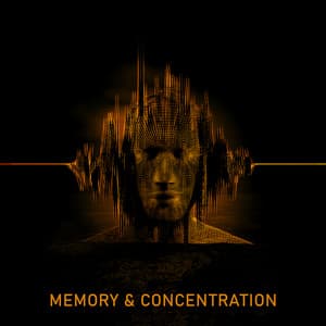 Memory & Concentration: Soothing Beta Waves for Learning - Zen Exam Experts